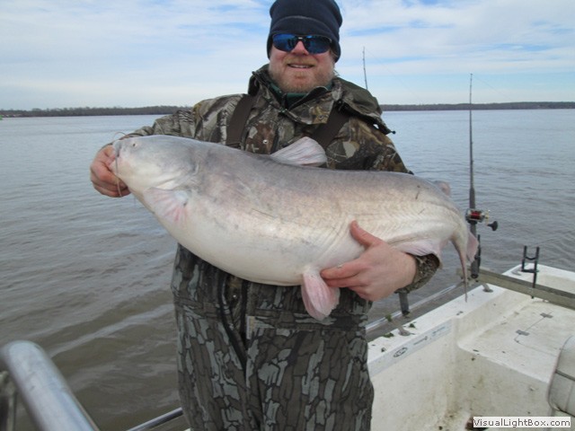 James River Catfishing Guide - Guide Service For Blue Catfish On The ...