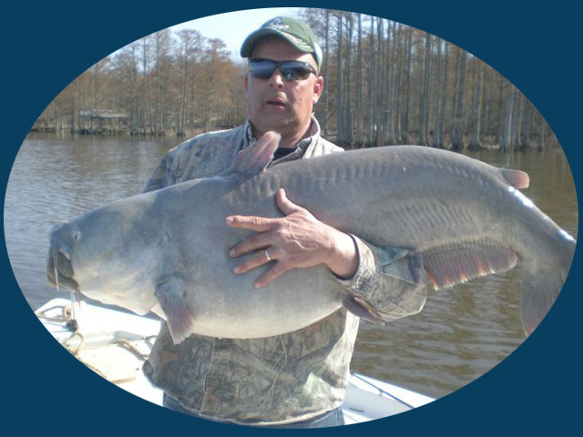 Trophy Blue Catfish - James River Cats